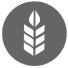 Логотип Минсельхоз